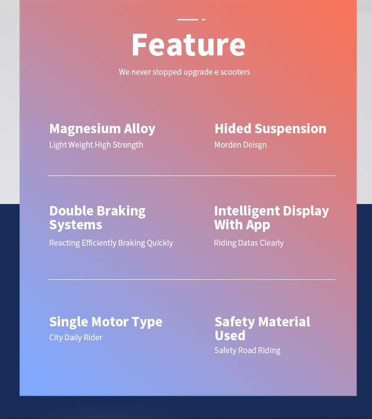 patinete electrico para adulto